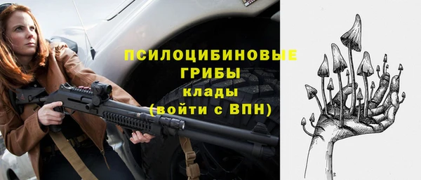 соль курить ск Белокуриха