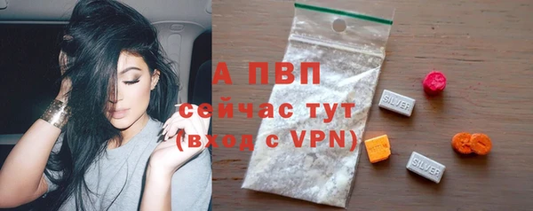 соль ск Богородск