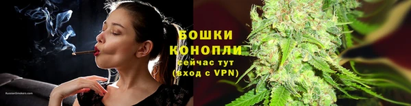 эйфоретик Богданович