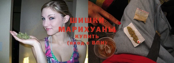 спиды Бородино
