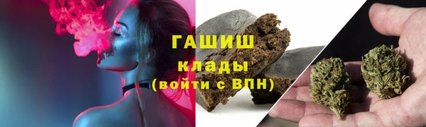 эйфоретик Богданович