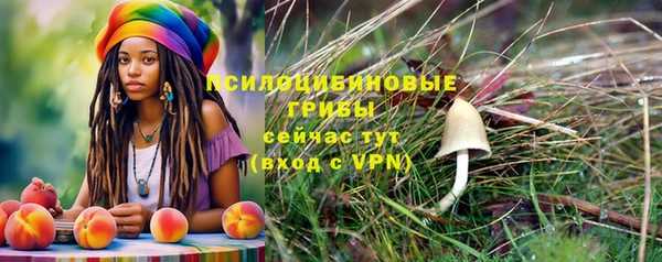 мет Богородицк