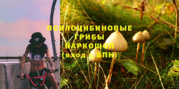 эйфоретик Богданович