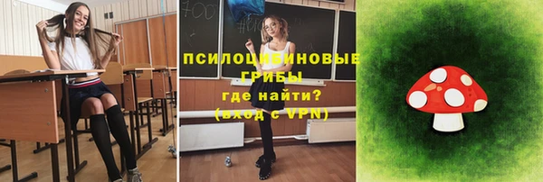 соль курить ск Белокуриха
