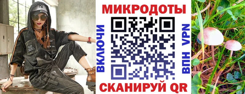 Псилоцибиновые грибы мицелий Бронницы